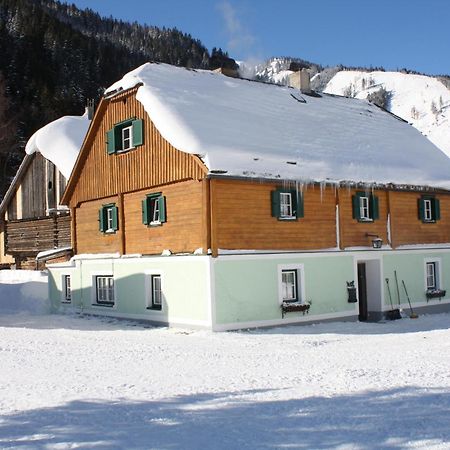 Ferienwohnung Schaupphof Donnersbachwald Eksteriør billede